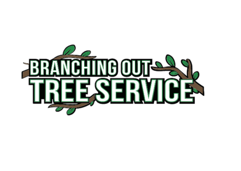 Tree Cutting & Trimming Ronkonkoma