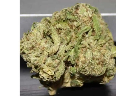 Buy Green Crack