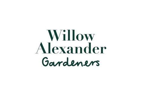 Willow Alexander Cleaners