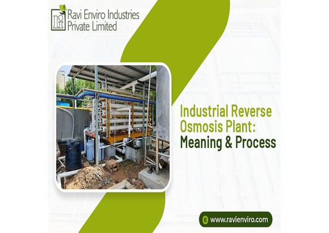 Industrial Reverse Osmosis Plant: Meaning & Process!