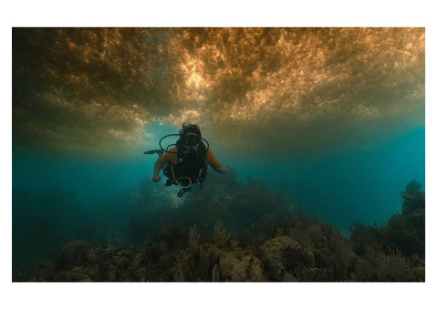 Puerto Morelos Diving