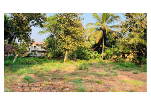 What Makes Cheap Land In Goa For Sale More Than Just A Dwelling?