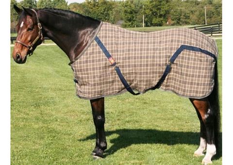 Curvon Baker: Enduring Horse Sheets For All Seasons