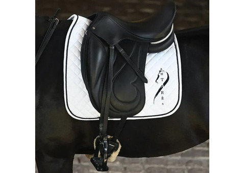 Antares Saddles Canada - Performance and Beauty for the Rider