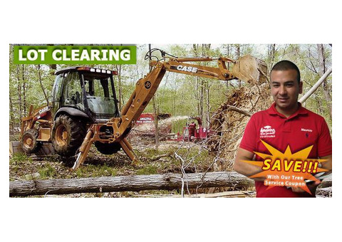 Land Clearing in NJ – Amazing Tree Services