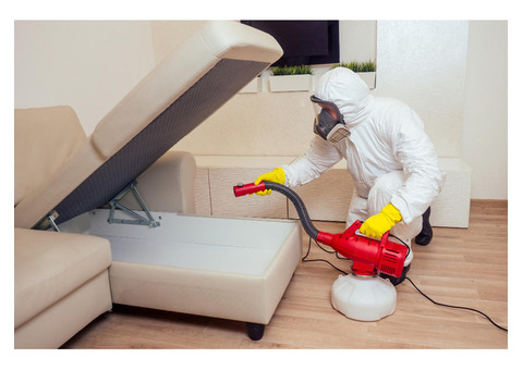 Emergency Pest Removal for Your Home or Business