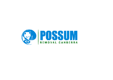 Possum Removal Canberra