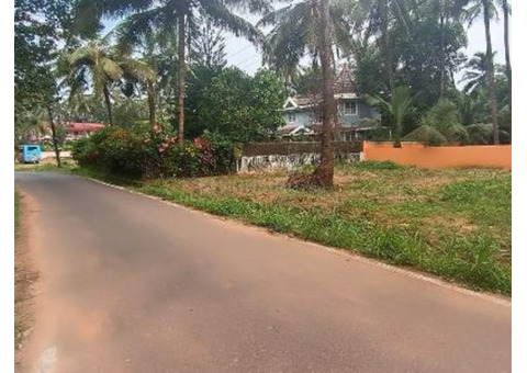 Orchard Land For Sale In Goa is ideal for an agricultural enthusiast