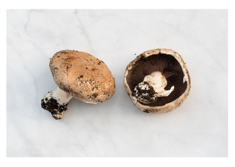 Portobello Mushrooms 10 oz