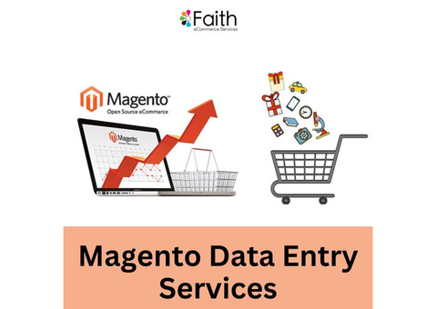 Accurate and Reliable Magento Data Entry Services