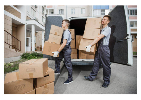 Best Courier Service for Fast Delivery in London – Craigis