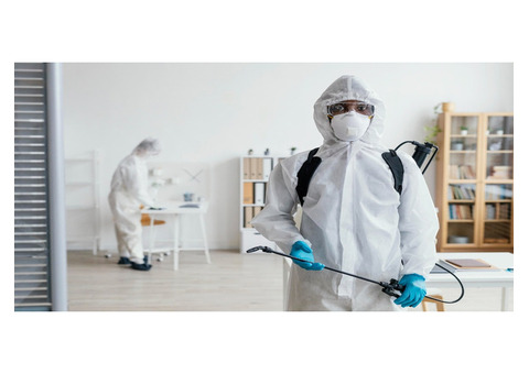 Reliable Manchester Pest Control Services – Get Rid of Pests Today