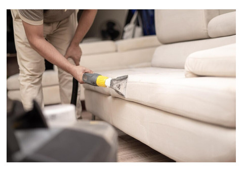 Professional Carpet and Upholstery Cleaning Services