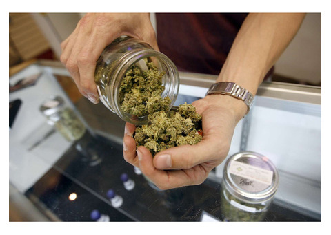 Buy Legal Weed in NY: The Top 10 Cannabis Dispensaries