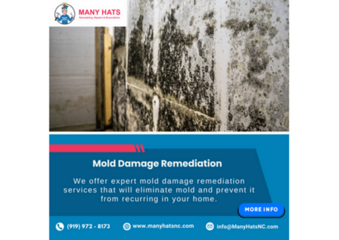 Mold Damage Remediation in Carrboro,NC