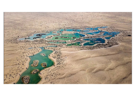 Qudra Desert Lake: A Serene Escape in the UAE!