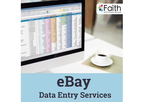 Reliable eBay Data Entry Services for Accurate and Efficient