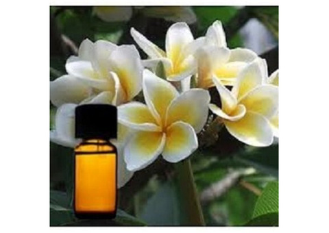 Your Trusted Fragrance Oils for Soap and Candles Manufacturer