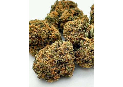 Buy OG Kush Online?