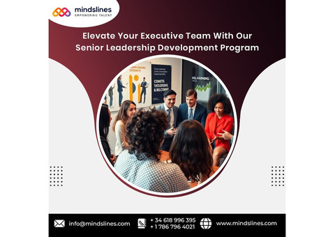 Executive leadership development program |Mindslines