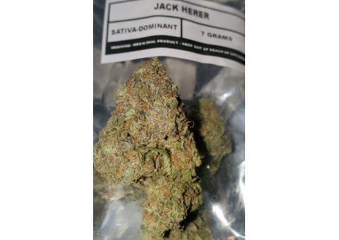 Jack Herer is easily one of the best-known strains