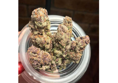 Buy irl Scout Cookies Strain Information