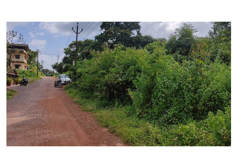 All the magic orchard land for Sale in Goa has to offer