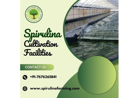 Spirulina Cultivation | Sustainable Farming for Quality Spirulina