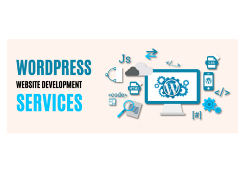 Professional WordPress Website Development Services