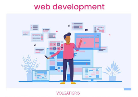 Expert Web Development Dubai Solutions by Volga Tigris Description