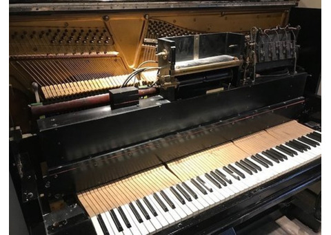 Piano Tuner Near Me