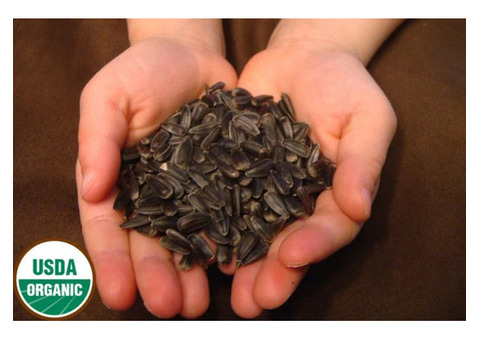 Boost Health with Premium Organic Sunflower Seeds Today