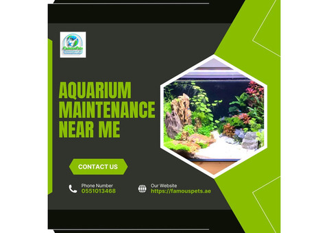 Aquarium Maintenance Near Me – Trust Famous Pets for Expert Care