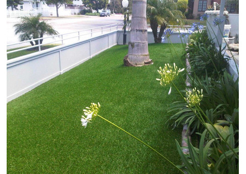 Affordable Synthetic Grass in San Diego for Your Lawn