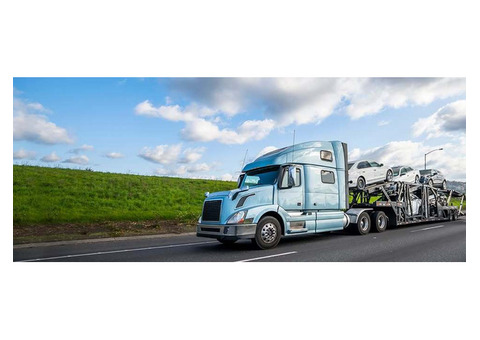 Snowbird Vehicle Relocation Services – Hassle-Free Transport