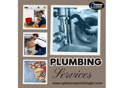 Top Residential Plumbing Repair in Land O Lakes, FL