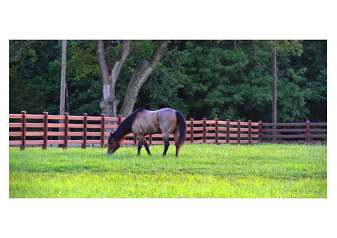 Rail HDPE Horse Fencing | Derby Fence Co.