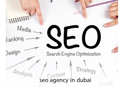 Professional SEO Consultants in Dubai | Volga Tigris