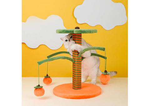 Buy Cat Scratcher Online at An Affordable Price - PAWPAWDEAR