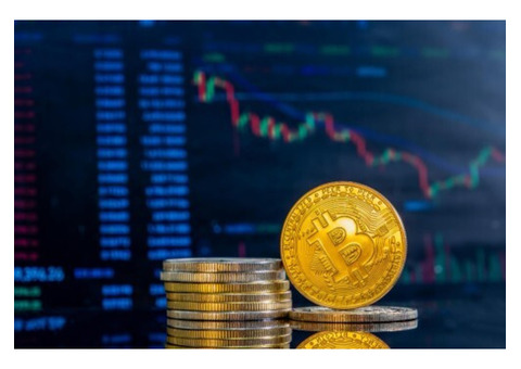 Cryptocurrency: Economic Revolution or Dangerous Speculative Bubble?