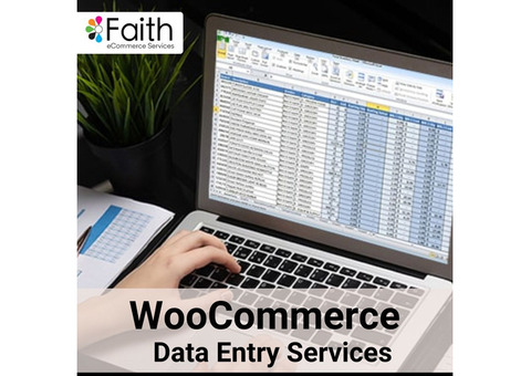 Professional WooCommerce Data Entry Services