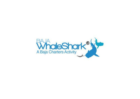 La Paz Whale Shark Tours with Baja Whale Shark