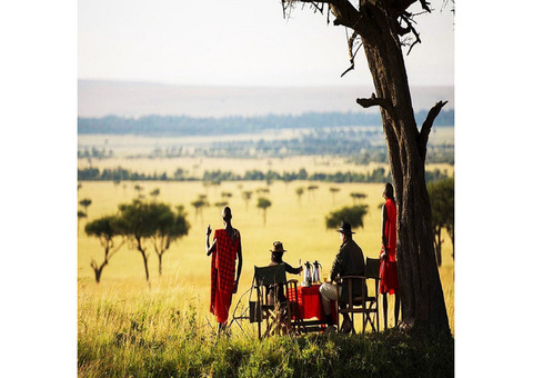 Unforgettable Kenya Luxury Safari Packages for Your Dream Honeymoon