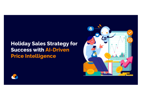 Boost Holiday Sales with AI-Powered Price Intelligence