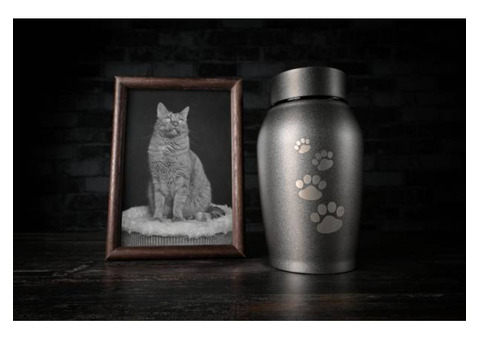 Evermore Compassionate Pet Aftercare | Pet funeral Service