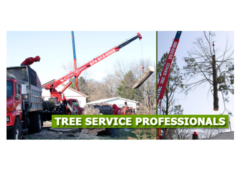 Tree Removal West Caldwell, NJ – Amazing Tree Services