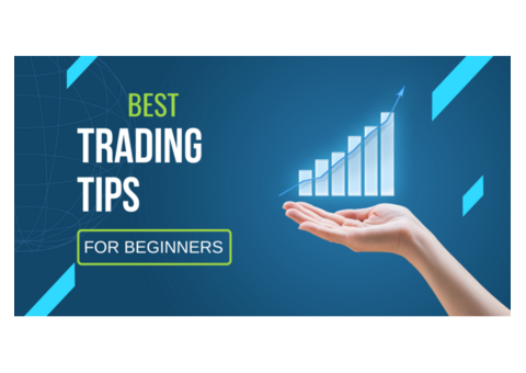 Start Your Trading Journey with Link Earn Hub’s Beginner Course