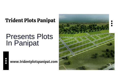 Trident Panipat Plots – Invest in Excellence, Live in Comfort