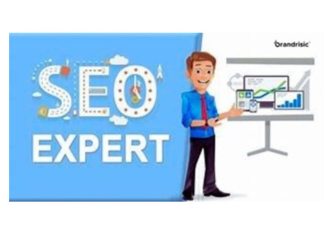 SEO Expert in New York