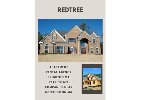 Affordable Housing Solutions: Apartment Rental Agency Brighton, MA